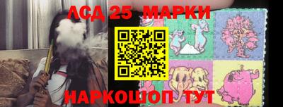 шишки Нарткала