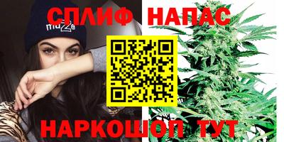 шишки Нарткала