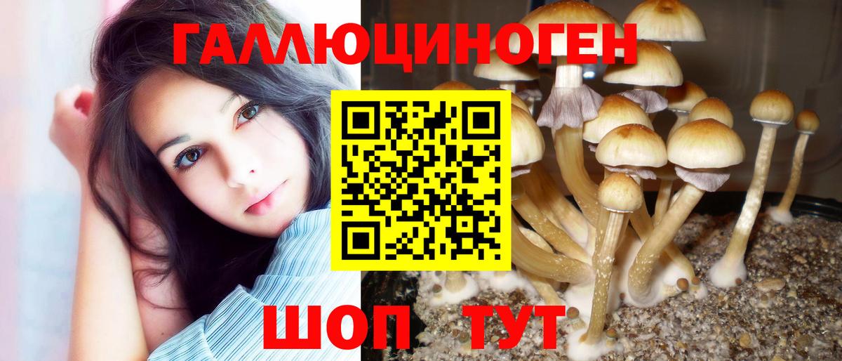 купить  цена  Вход с VPN  Псилоцибиновые грибы мицелий  Тольятти  Псилоцибиновые грибы GOLDEN TEACHER 