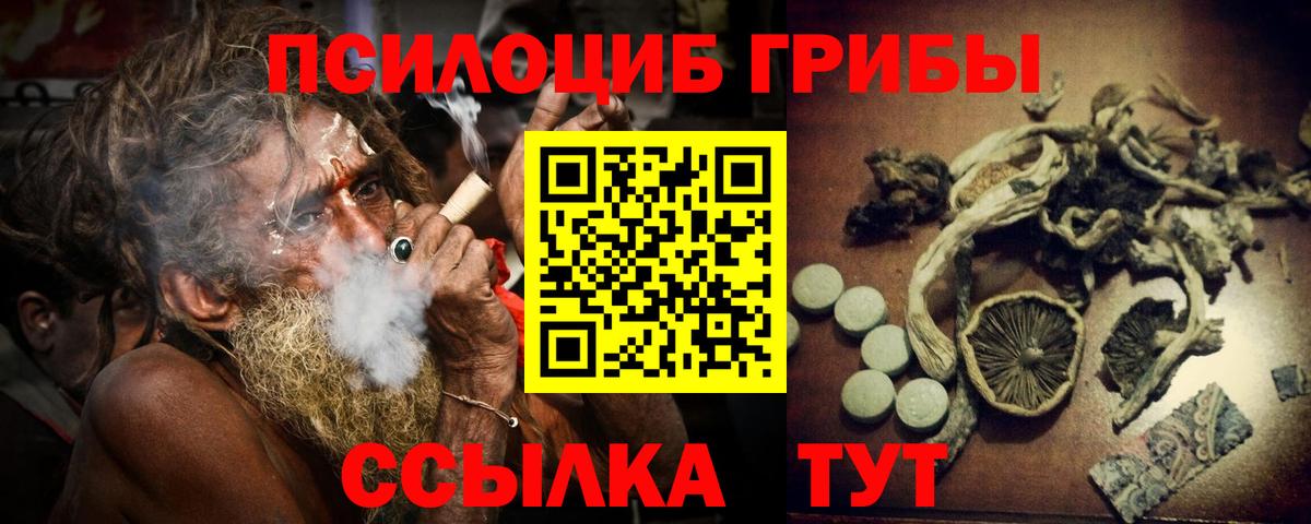 Галлюциногенные грибы Psilocybine cubensis Тольятти